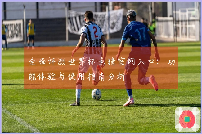 全面评测世界杯竞猜官网入口：功能体验与使用指南分析