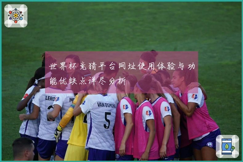 世界杯竞猜平台网址使用体验与功能优缺点详尽分析