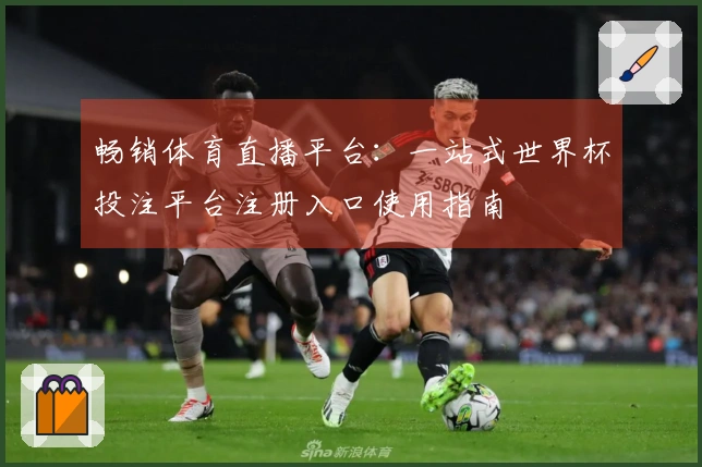 畅销体育直播平台：一站式世界杯投注平台注册入口使用指南