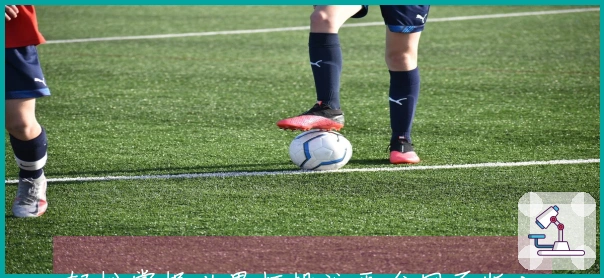 轻松掌握世界杯投注平台网页版入口的安装步骤指南