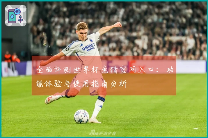 全面评测世界杯竞猜官网入口：功能体验与使用指南分析