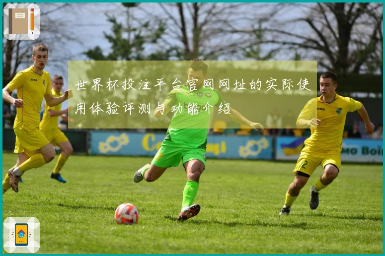 世界杯投注平台官网网址的实际使用体验评测与功能介绍