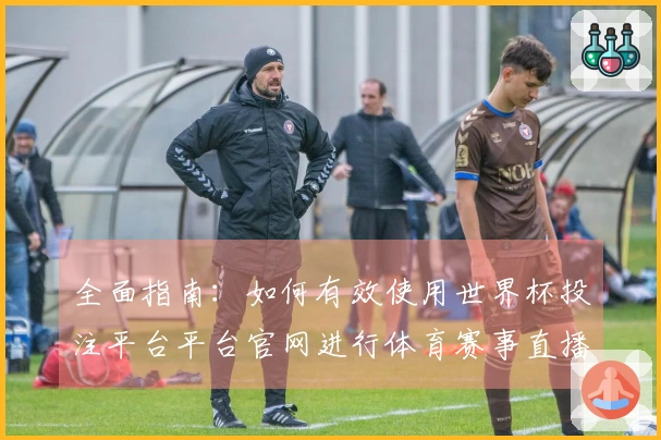全面指南：如何有效使用世界杯投注平台平台官网进行体育赛事直播
