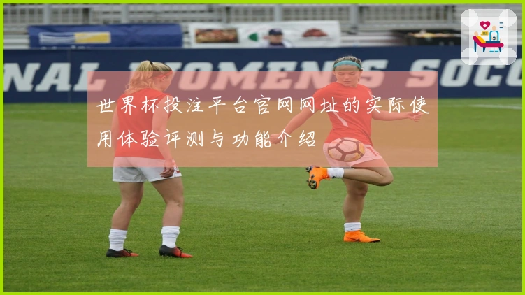 世界杯投注平台官网网址的实际使用体验评测与功能介绍